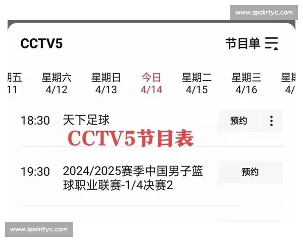 篮球赛事官网入口权威指南实时赛程数据直播分析全面服务平台