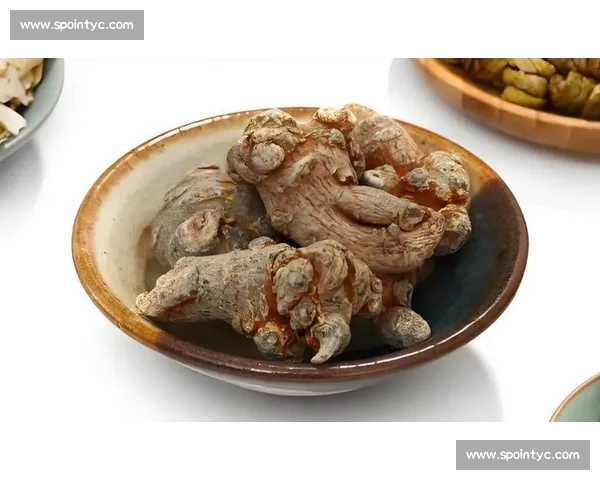 西甲平台入口全面指南与最新玩法规则深度解析推荐及安全注册流程详解